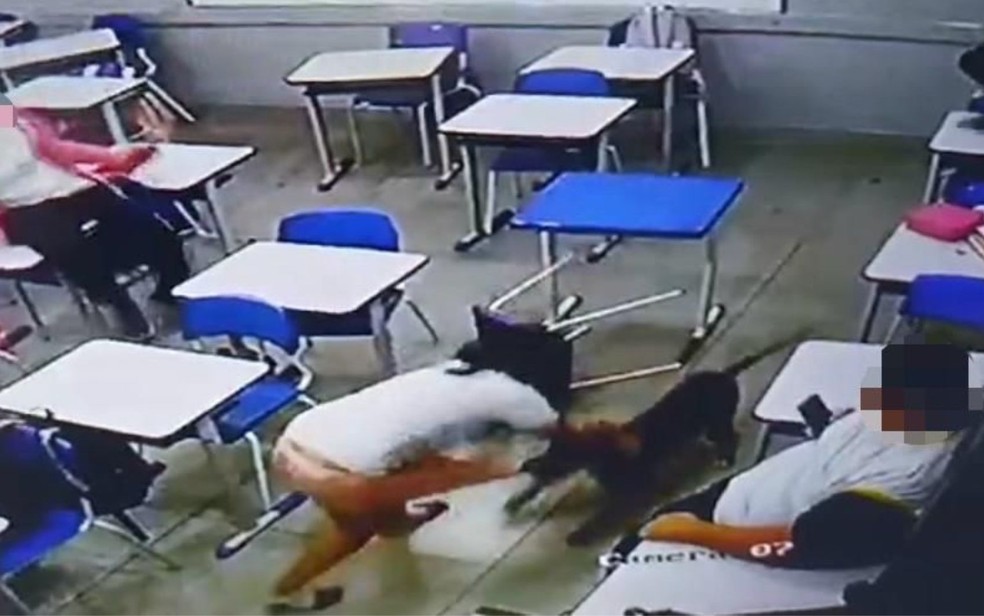 Cachorro ataca aluna dentro de sala de aula